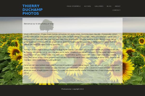 Photocrati-pro theme site design template sample