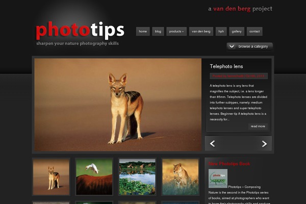 Ephoto theme site design template sample