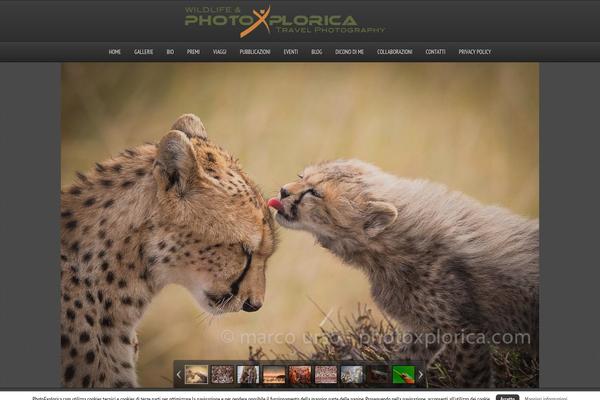 Photolux theme site design template sample