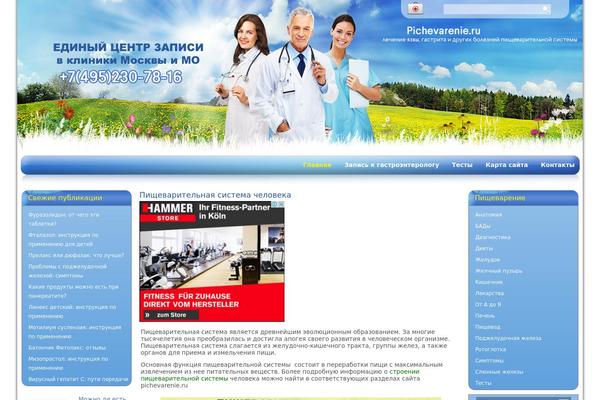 pichevarenie.ru site used I010915b