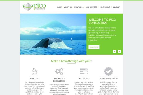 pico-consulting.com site used Html5blank-master