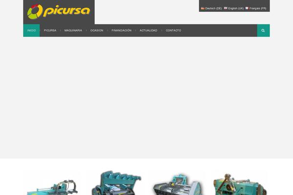 picursa.com site used EFFEKTIVE