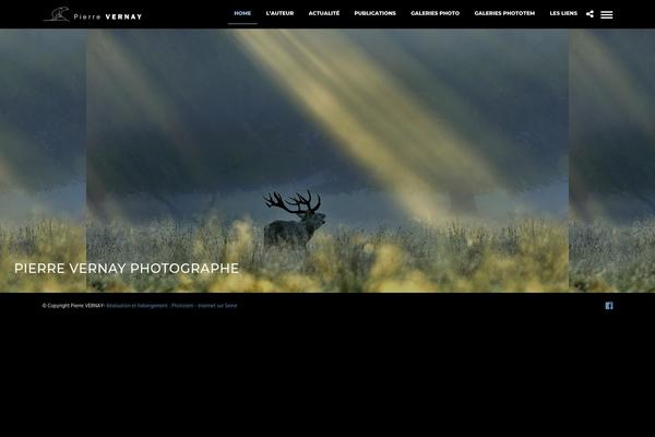 Photography theme site design template sample