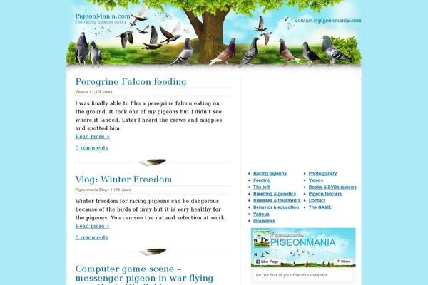 Fluida theme site design template sample