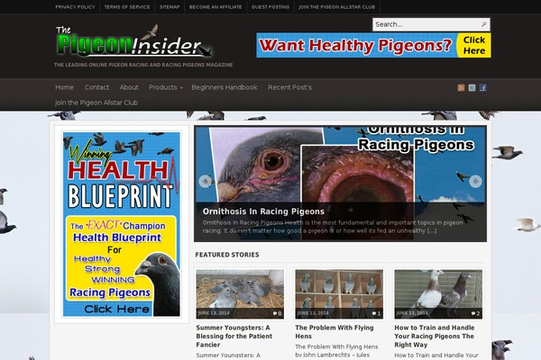 pigeonracingpigeon.com site used Cenote-pro-child