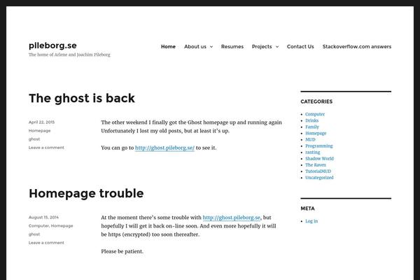 WordPress website example screenshot