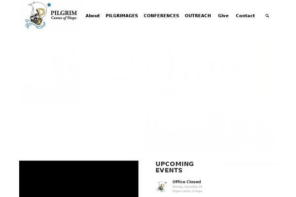 Enfold theme site design template sample