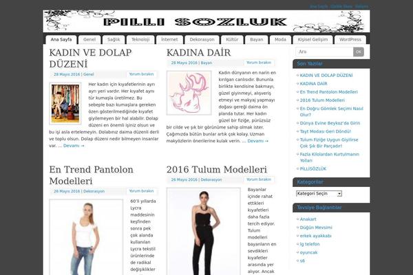 WordPress website example screenshot