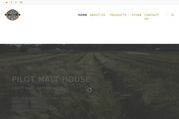 Salient theme site design template sample