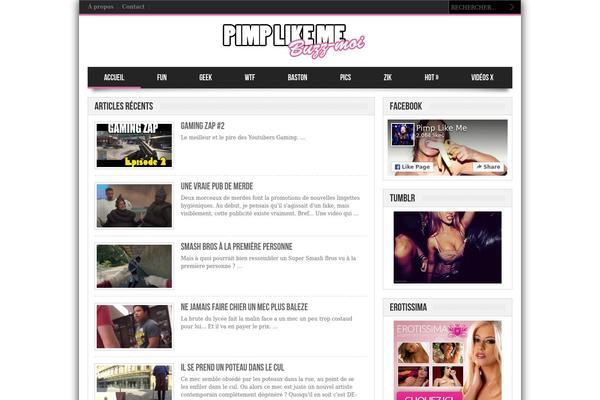 pimplikeme.com site used Gameleon-v2.6