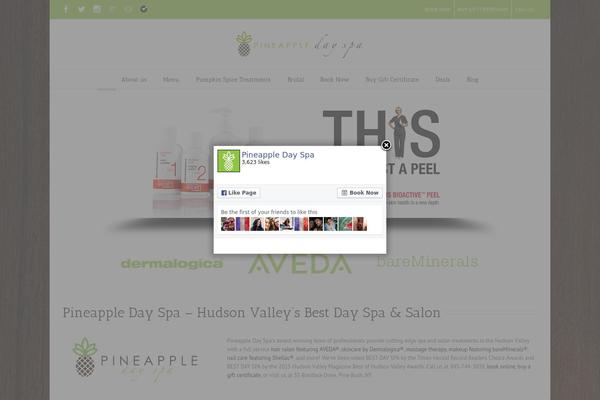 WordPress website example screenshot