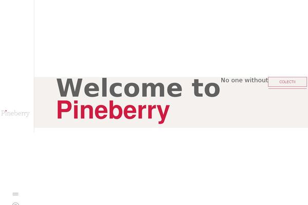 pineberry.ro site used Evx