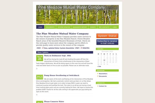 Pine theme site design template sample
