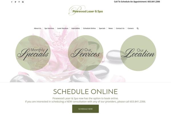 Enfold theme site design template sample