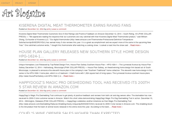 WordPress website example screenshot