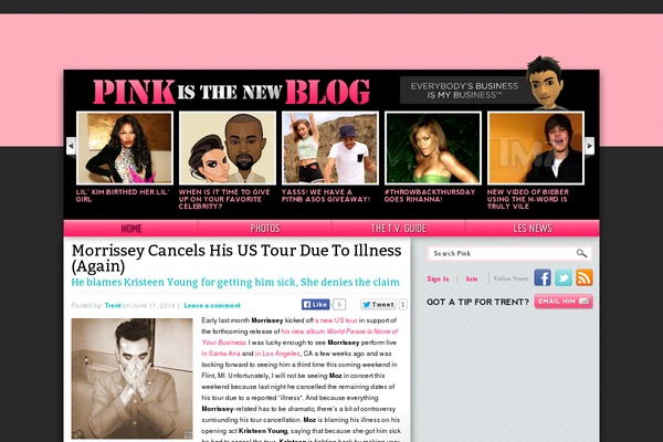 pinkisthenewblog.com site used Feminine-pink