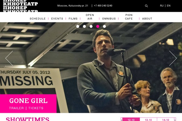 pioner theme websites examples