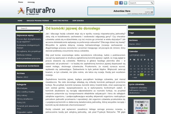 WordPress website example screenshot