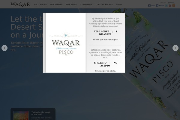 piscowaqar.cl site used Waqar