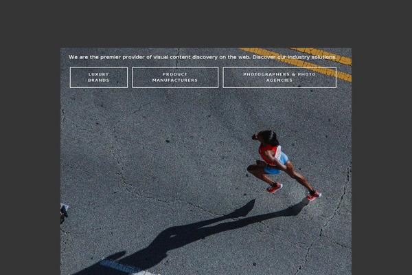 Salient theme site design template sample