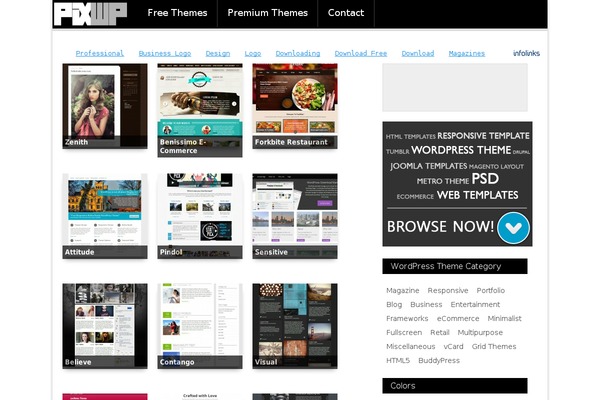 Gonzo theme site design template sample