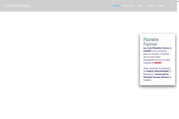 Site using Magic Liquidizer Responsive Table plugin