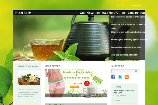 WordPress website example screenshot