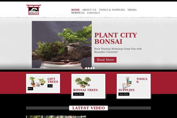 plantcitybonsai.com site used Plantcitybonsai