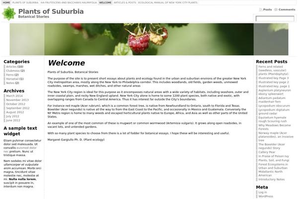 WordPress website example screenshot