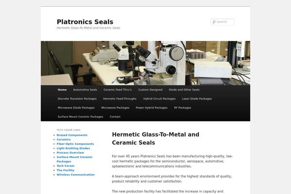 Twenty Eleven theme site design template sample