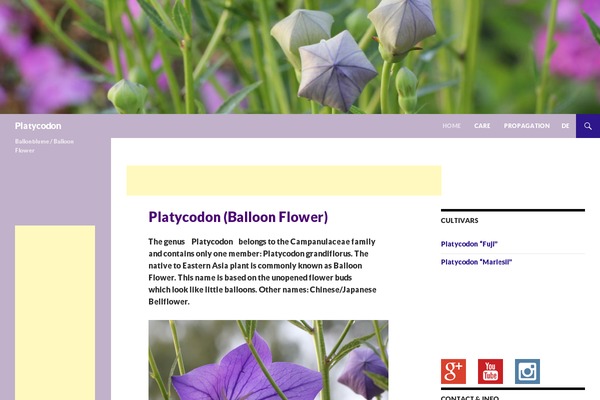 Site using Autoptimize plugin