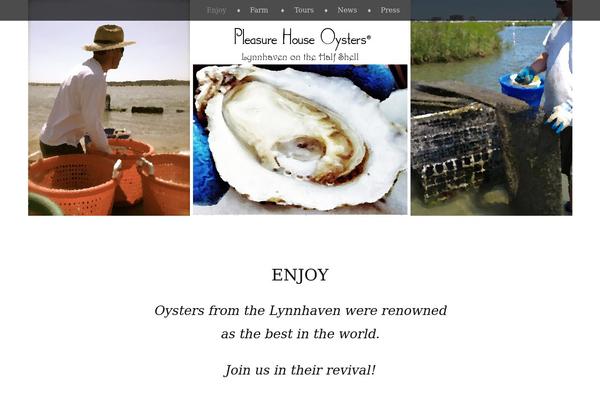 Site using Ie-sitemode plugin