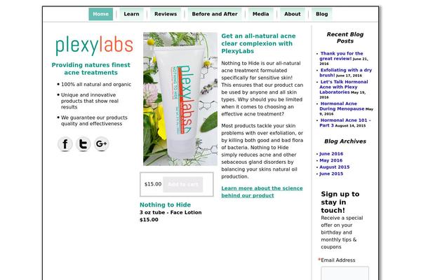 WordPress website example screenshot