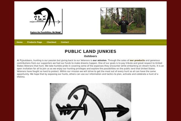 WordPress website example screenshot