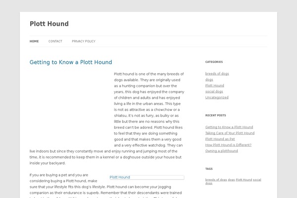 WordPress website example screenshot