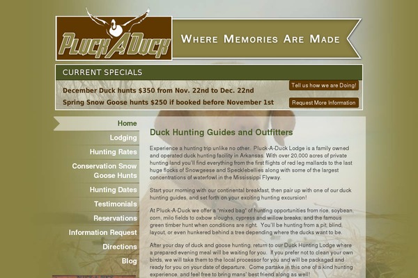Site using Gravityforms plugin