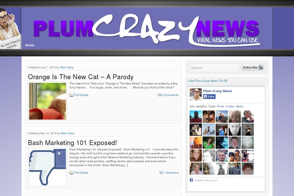 plumcrazynews.com site used Empowered Theme