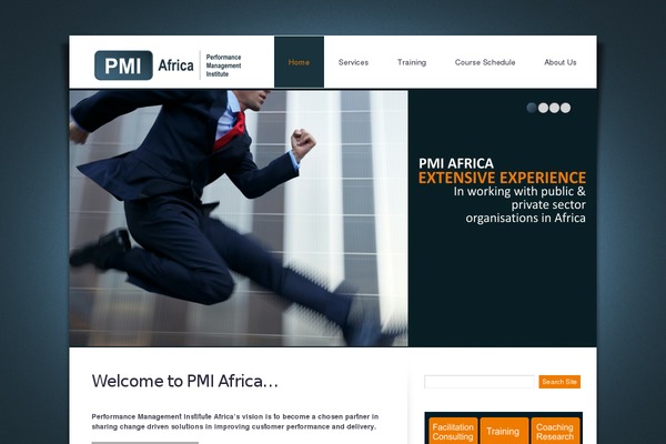 pmiafrica.co.za site used Theme1213