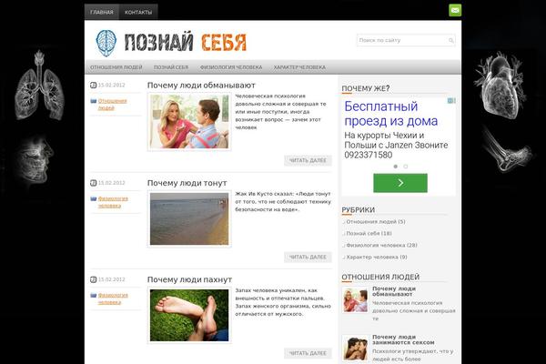 WordPress website example screenshot