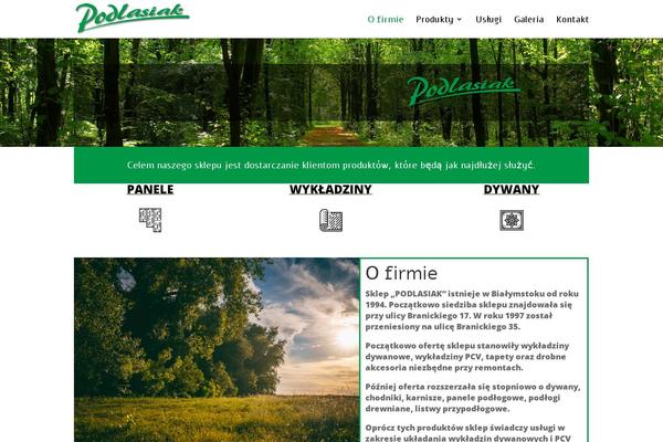 Divi theme site design template sample