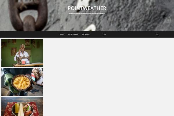 Pixgraphy theme site design template sample