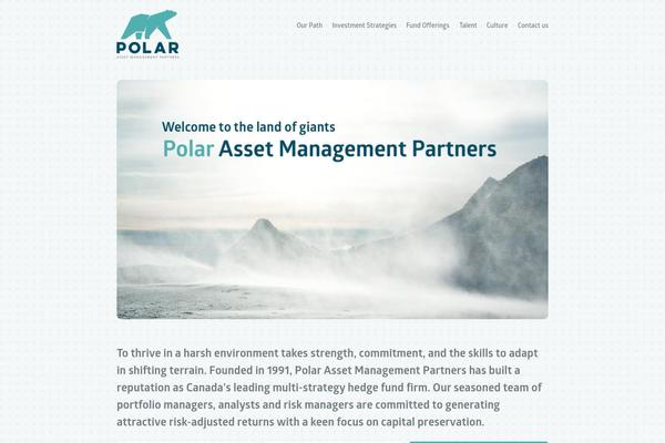 Polar theme site design template sample