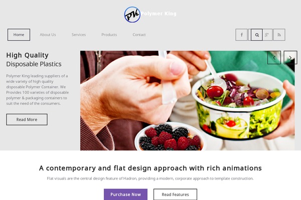 rt_hadron_wp theme websites examples
