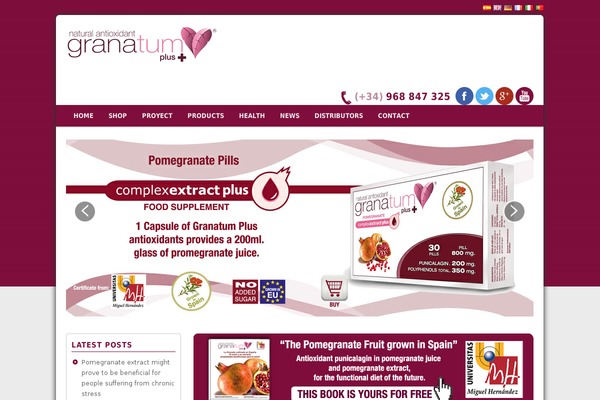 Avada theme site design template sample