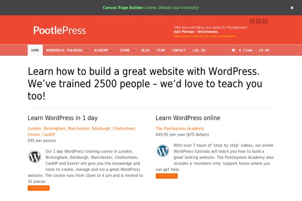 WordPress website example screenshot