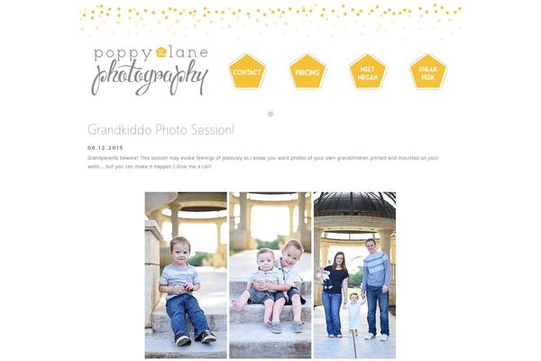 Site using Facebook Button by BestWebSoft plugin