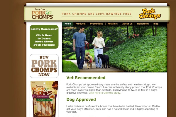 WordPress website example screenshot