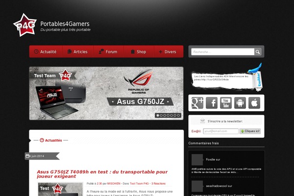 WordPress website example screenshot