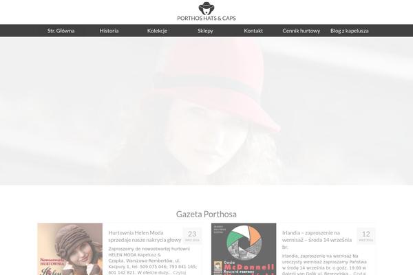 Virtue Premium theme site design template sample