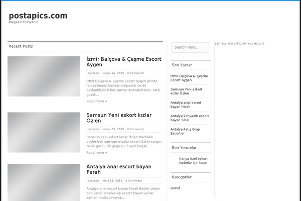 Silver Mag Lite theme site design template sample